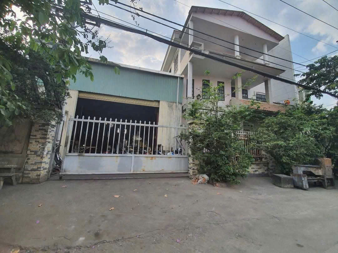 z6111944519444_6a0675efe0aa326d067fae5b92ac7388