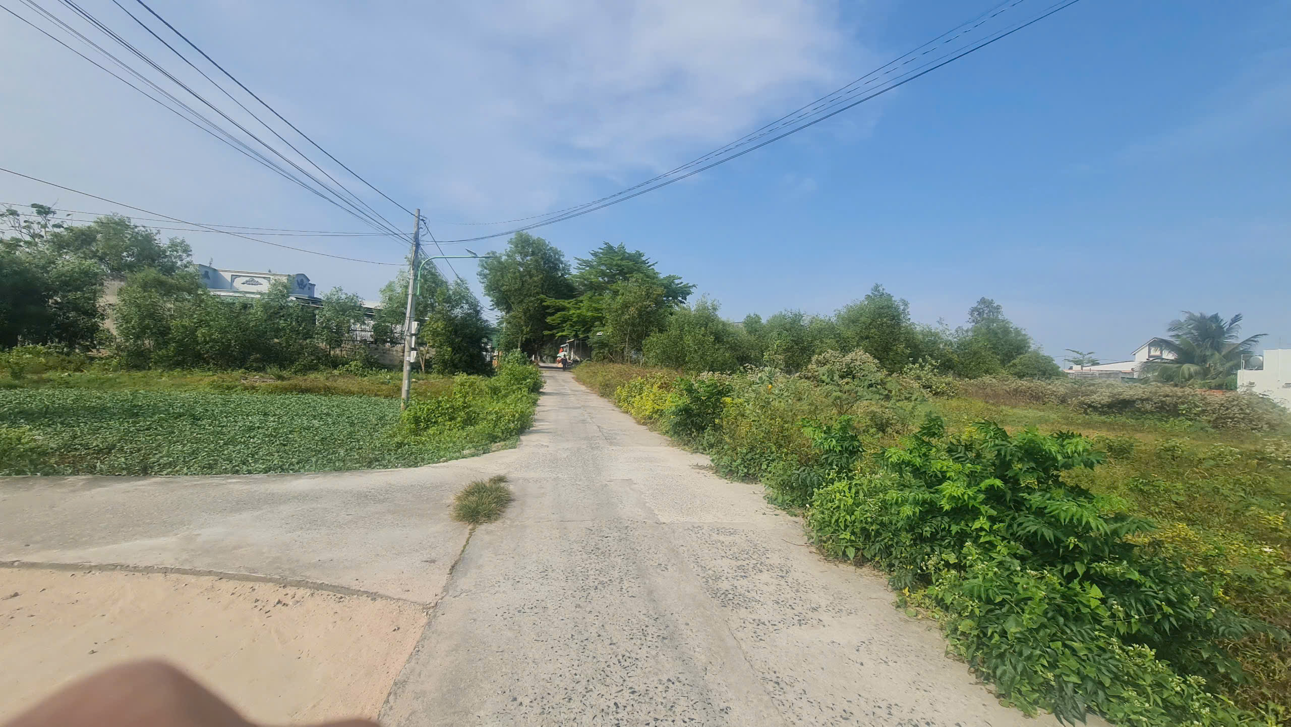 z6413034618170_846923b44c7be836b3a3f58a2a3f5baa