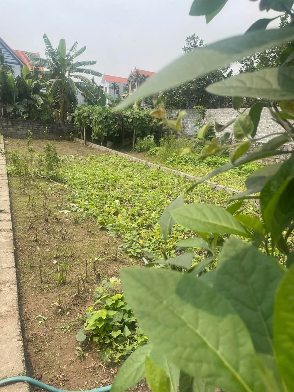 z6425471218852_5e2905f2c752b72f4e9bebc6cb703ba3