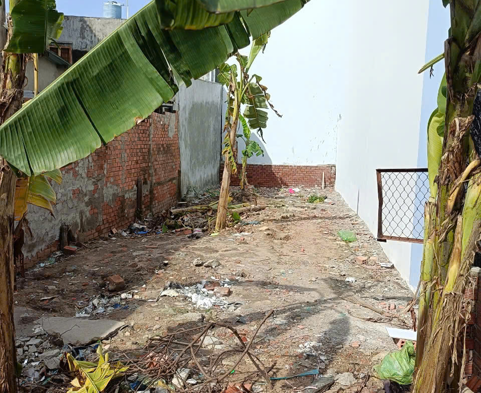 z6517343002173_66b901bb702d5e6302fe2af5d03e962c