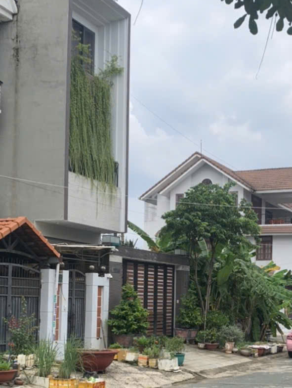 z6519665646548_5358eecf6781d805e9c732dad465a5b5