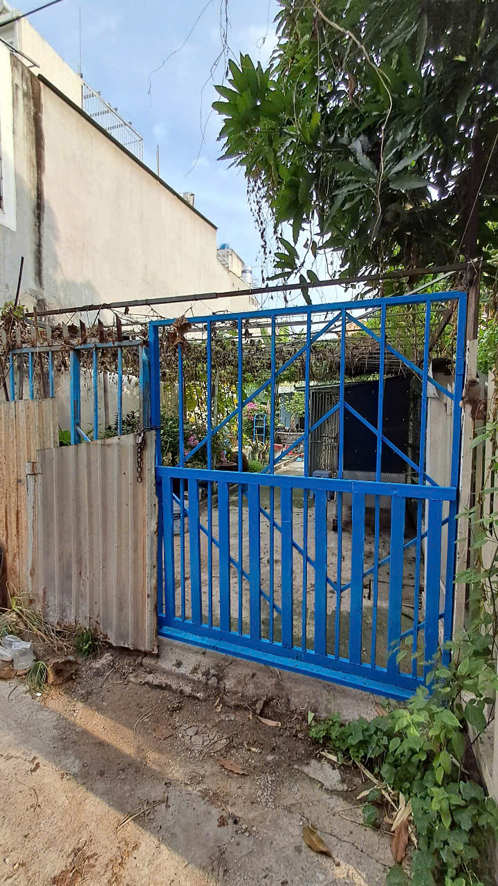 z6529990787153_4bfe6f0bb3b69302ef0b8894564abaab