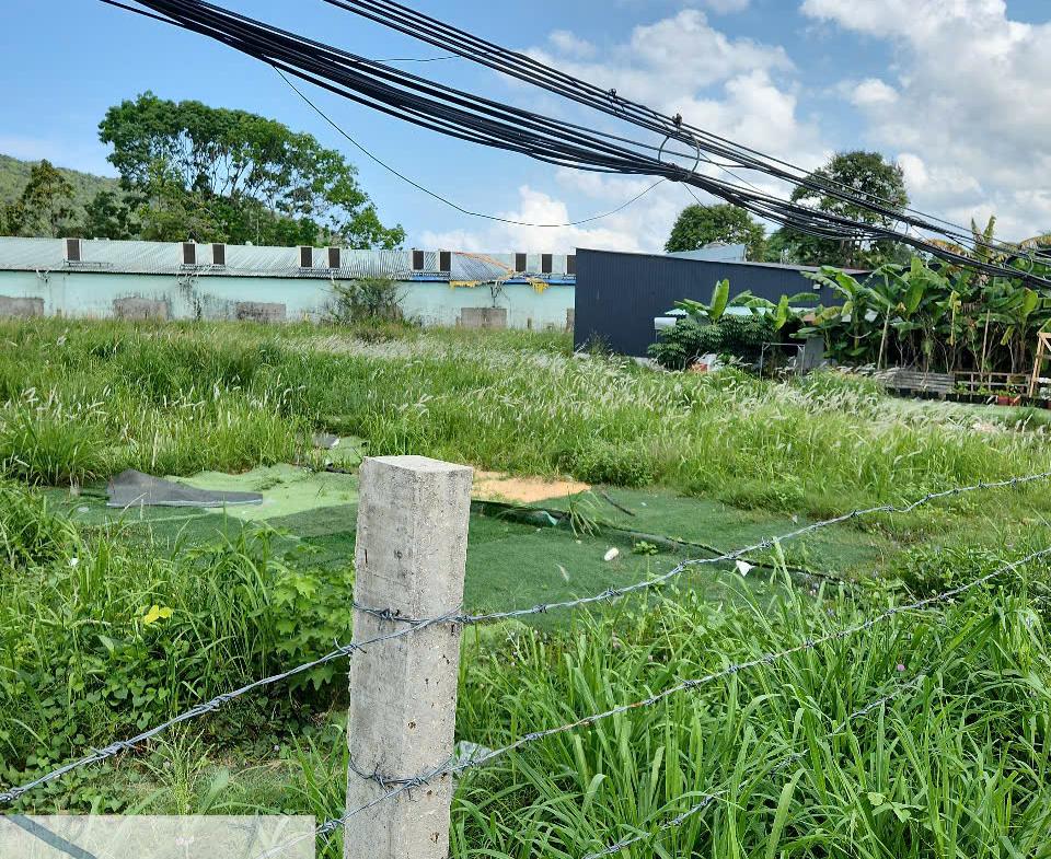 z6740685702577_022609b6109015d101a690d4e17a6cf5