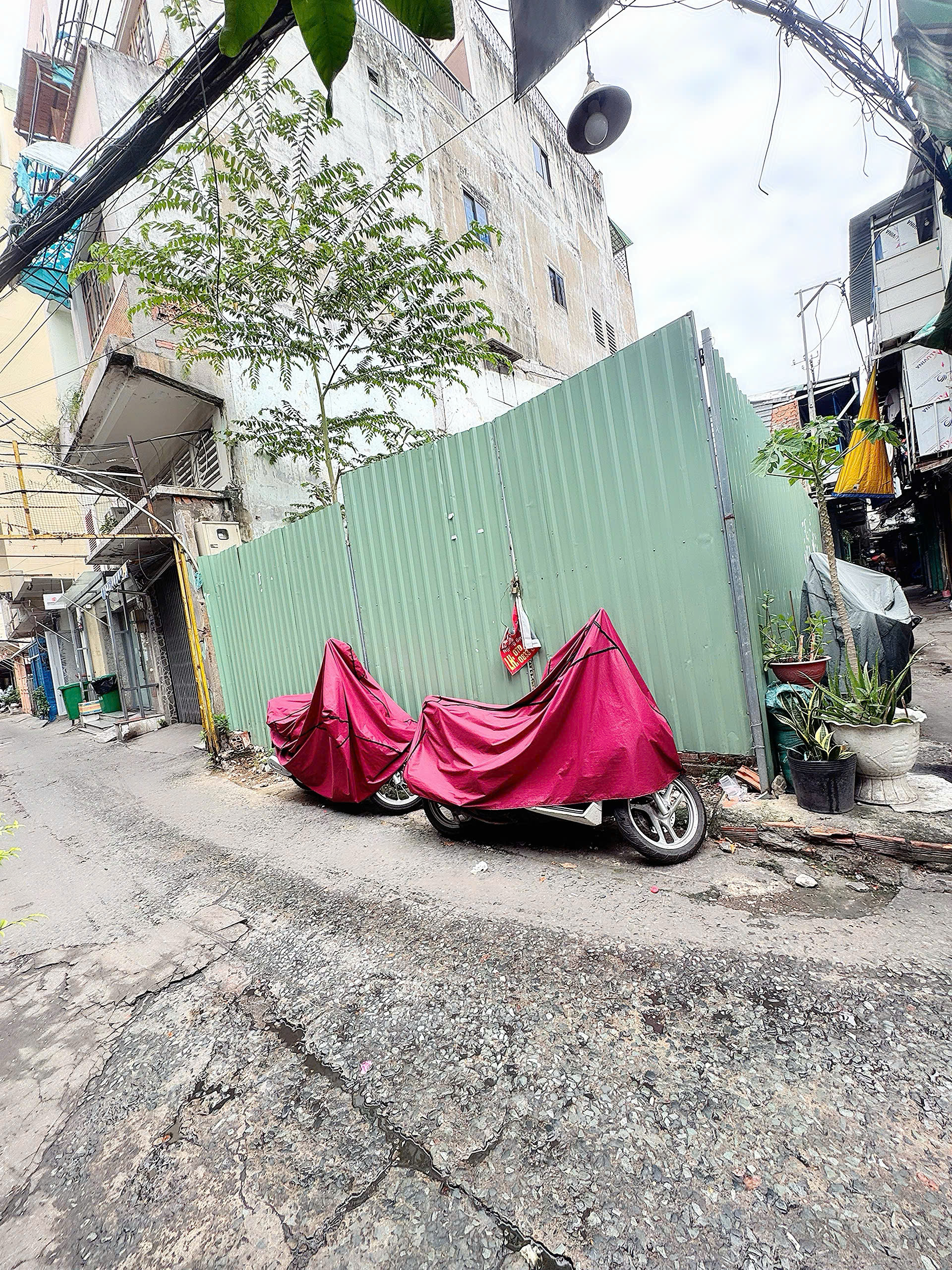 z6851688123774_525acac4af12b458d490b2e30d0ee9e8