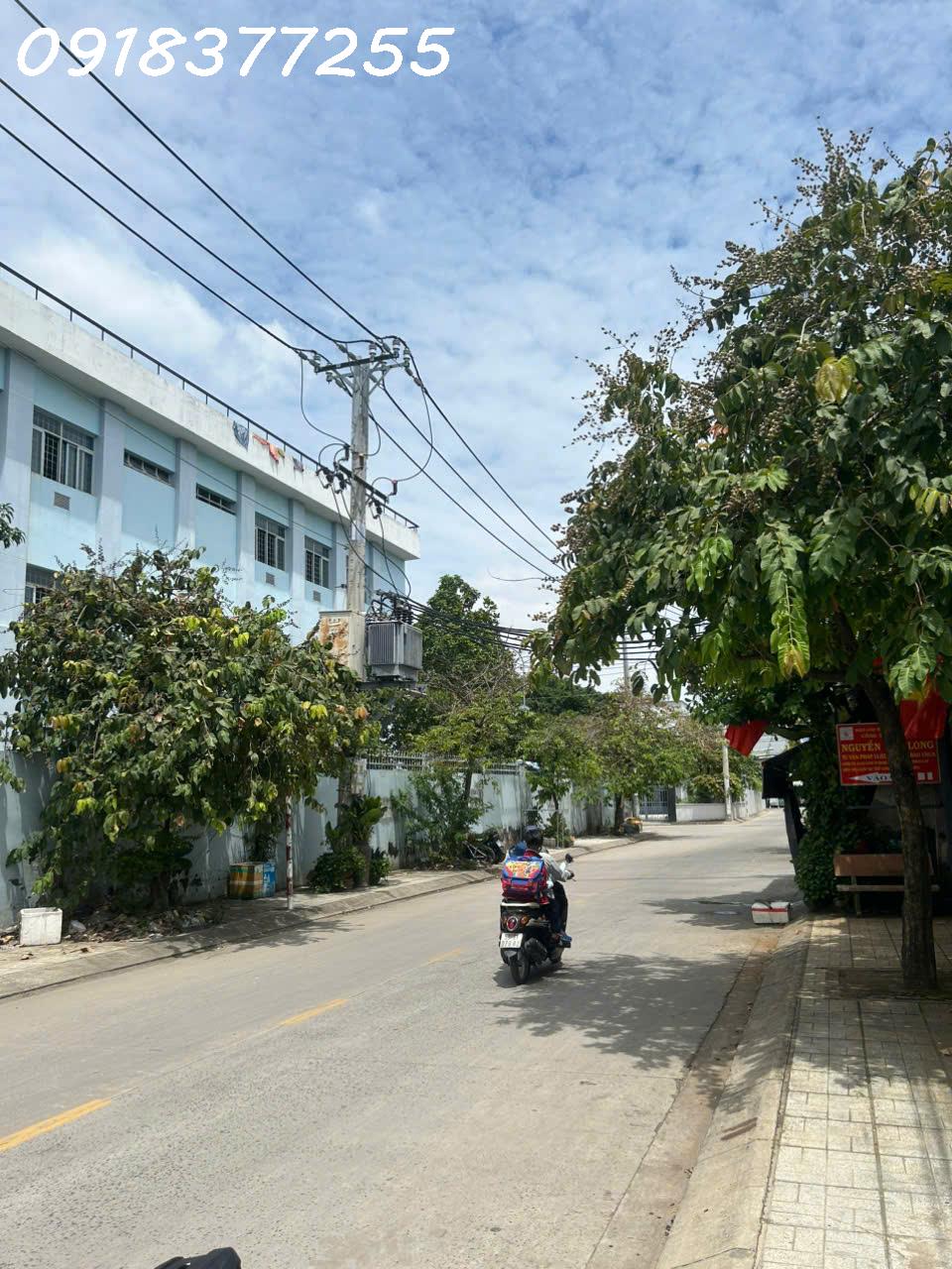 z6953212482321_7c02a269c7038613c886ba9ee05e1264