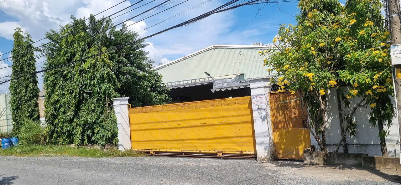 z6984538387744_00b77d375bde823a1c731e73e5feeaec