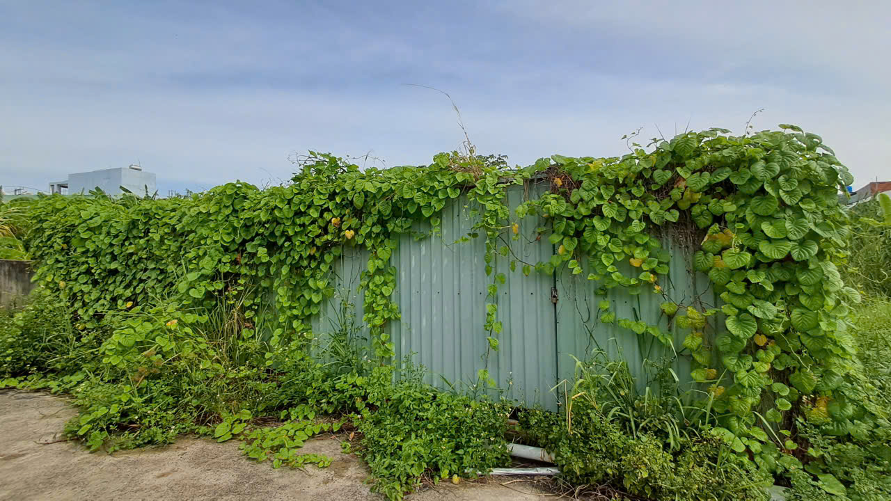 z7002449384125_7043f006cb48cf6092195ac3fa10d7ec