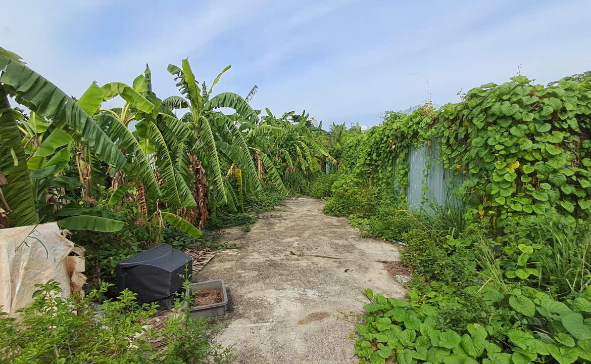 z7002449386087_1892fcf52eb33a874a9d6b261168f642