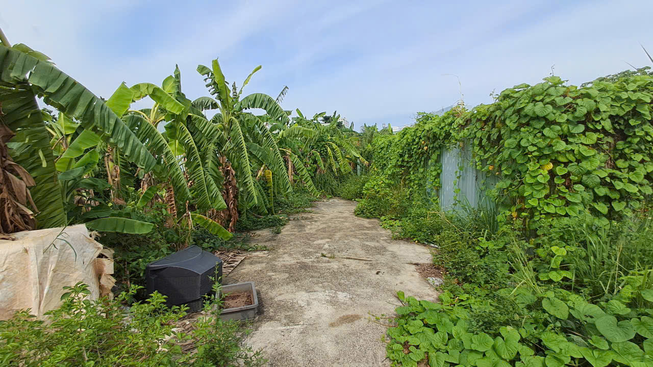 z7002449386087_1892fcf52eb33a874a9d6b261168f642