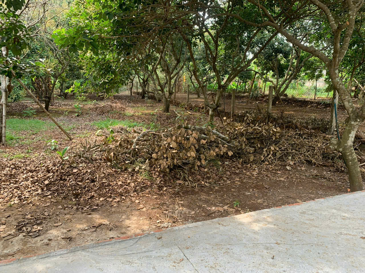 z7005333302324_6165ccfb703a3c831b2a59930f52655f