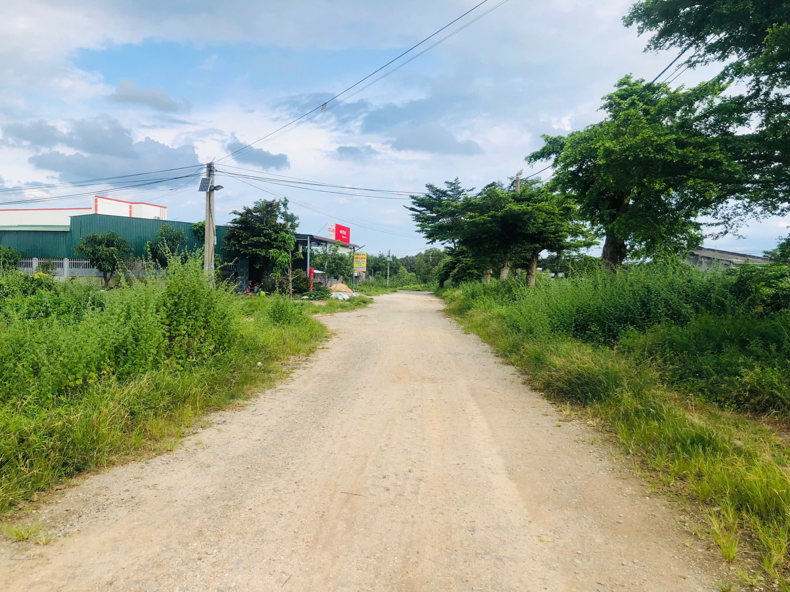 z7028607353507_79e85aba02e6d869ed817676d25ef9ca