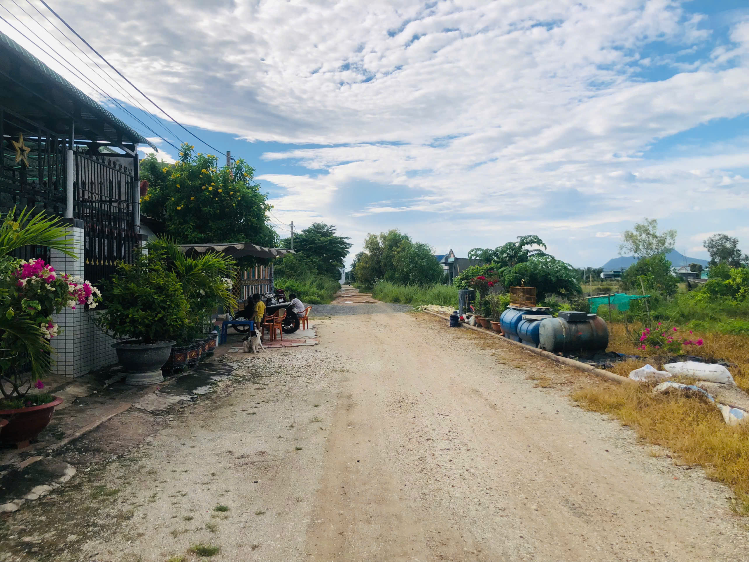 z7028607358531_9c4197fd96cfb47df0db9561fbf7994b