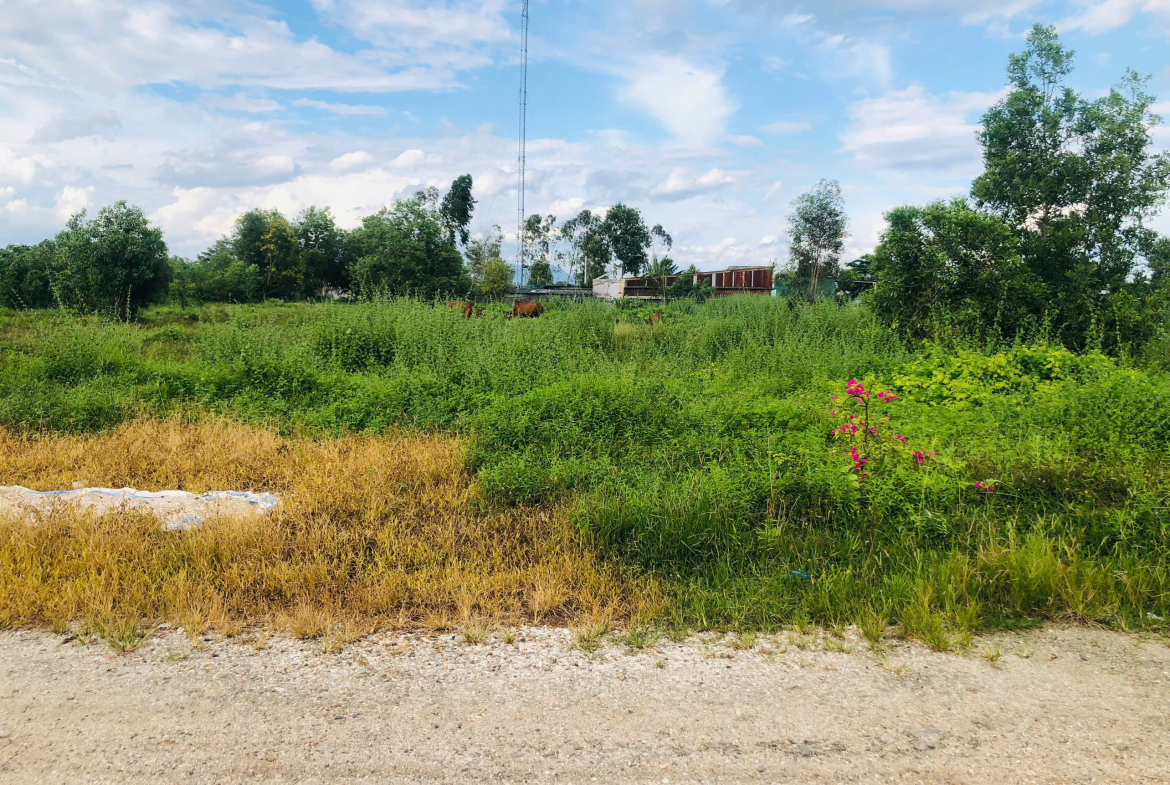 z7028607375051_631dfec2ea595f3035a6be346c35ce9d