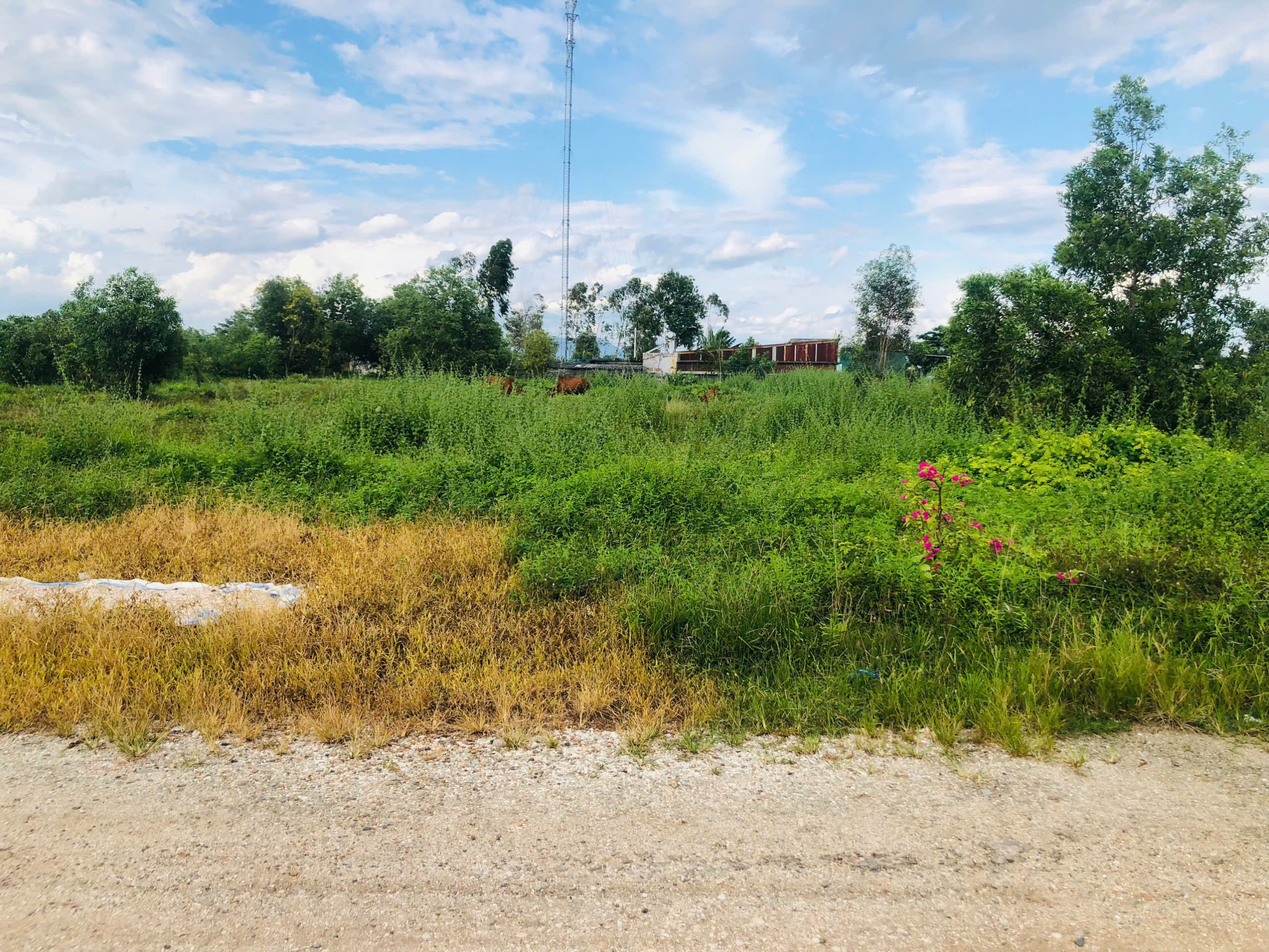 z7028607375051_631dfec2ea595f3035a6be346c35ce9d