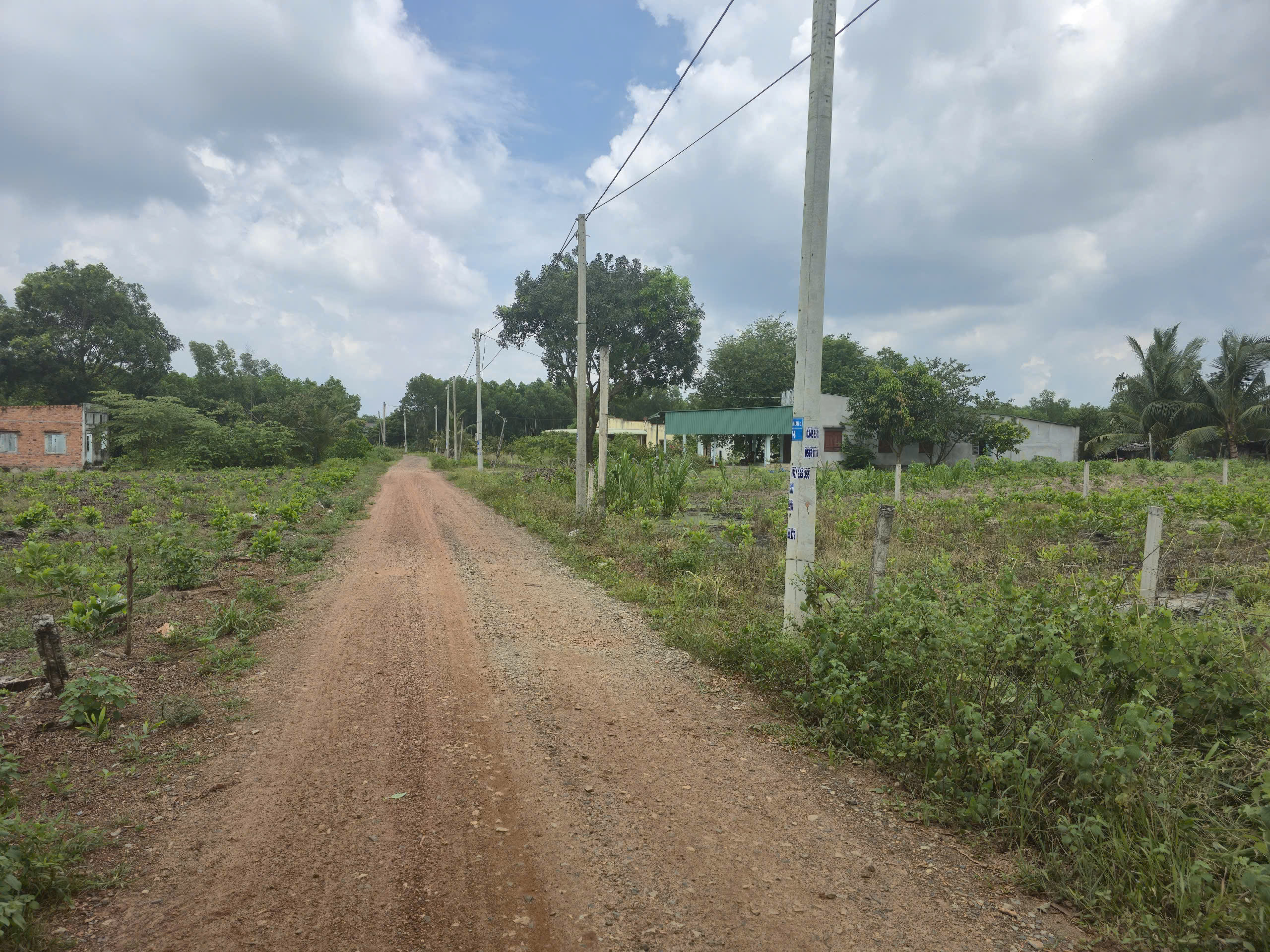 z7031447985276_a34a3cd7ab821353b845c85d10e042dd