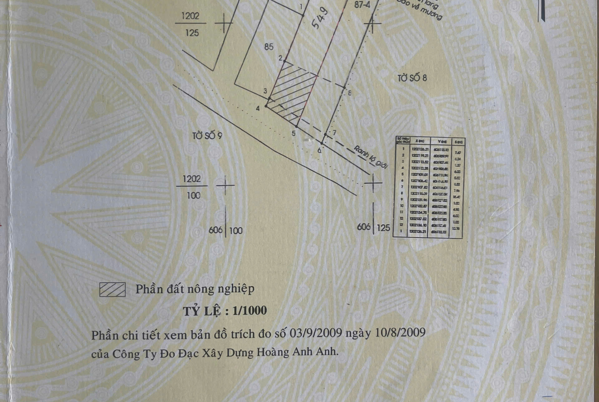 z7047135207754_4bd43b445cc670f5ca9044a05a375535