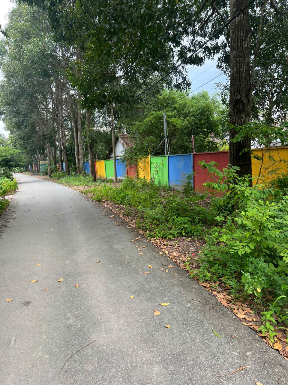 z7048901840699_0adc486363867d02d9cbd7a208e28c6c