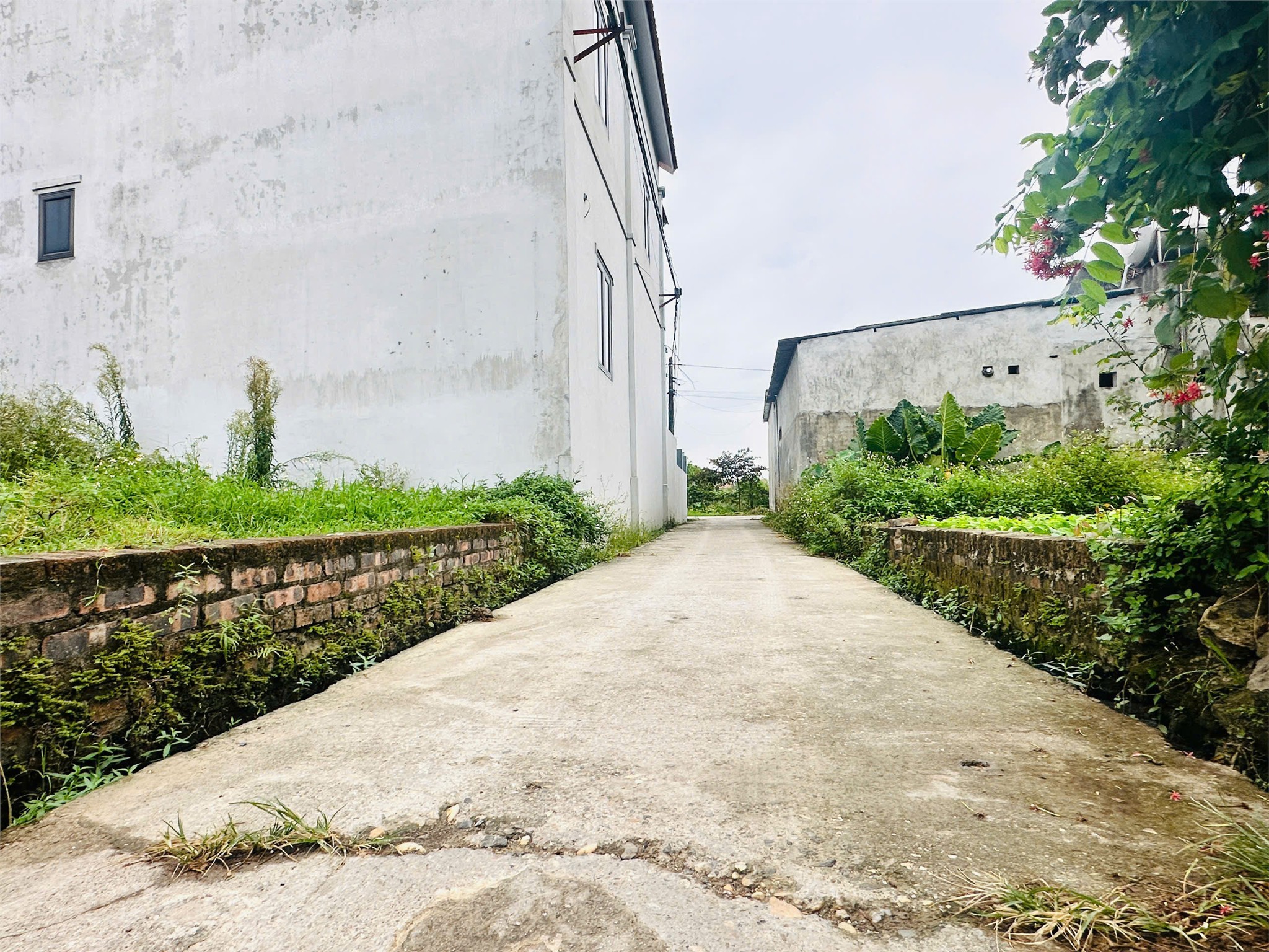 z7052189923425_ff3e16df958e7e375fc10034717ef8c9