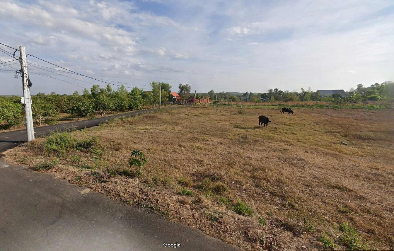 z7065680690388_13cad949b16862f79b6561925f7d7911