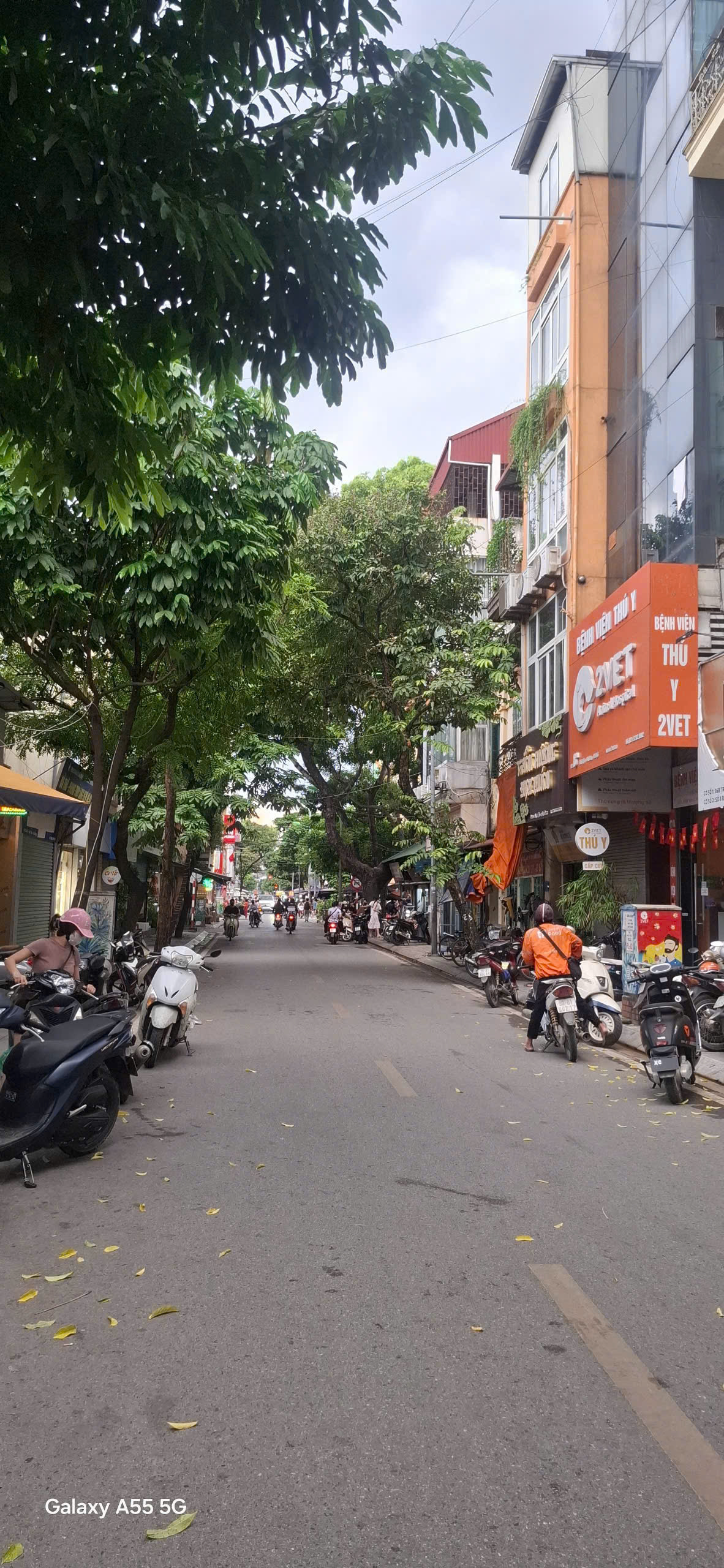 z7068137396081_a539b7ea82b54086ebedb1f51bc31029