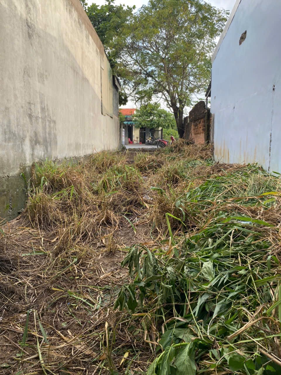 z7068331188150_dc1c75d1d4d3c81df04c390e39674c62