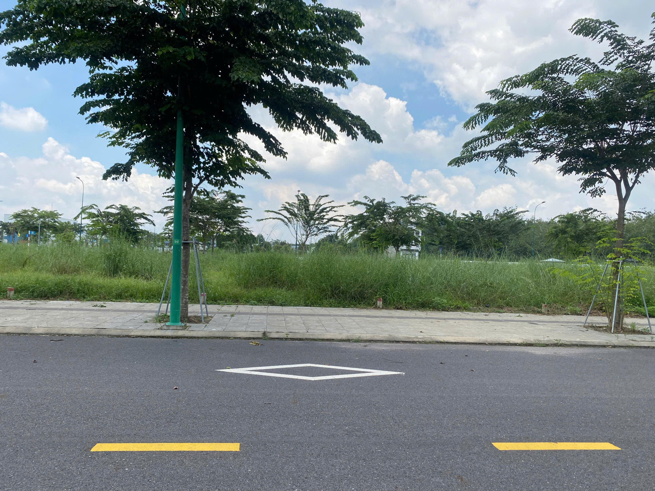 z7072852607416_20b5c89e62600c983de9445de7cffa53