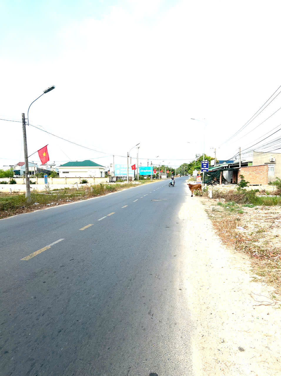 z7072926063962_f780e03d432ed9acf912ea9bcc485a15