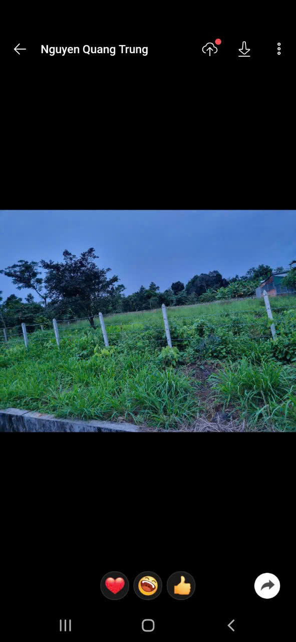 z7073186380662_e314414917917aac20f4bbc856b32323