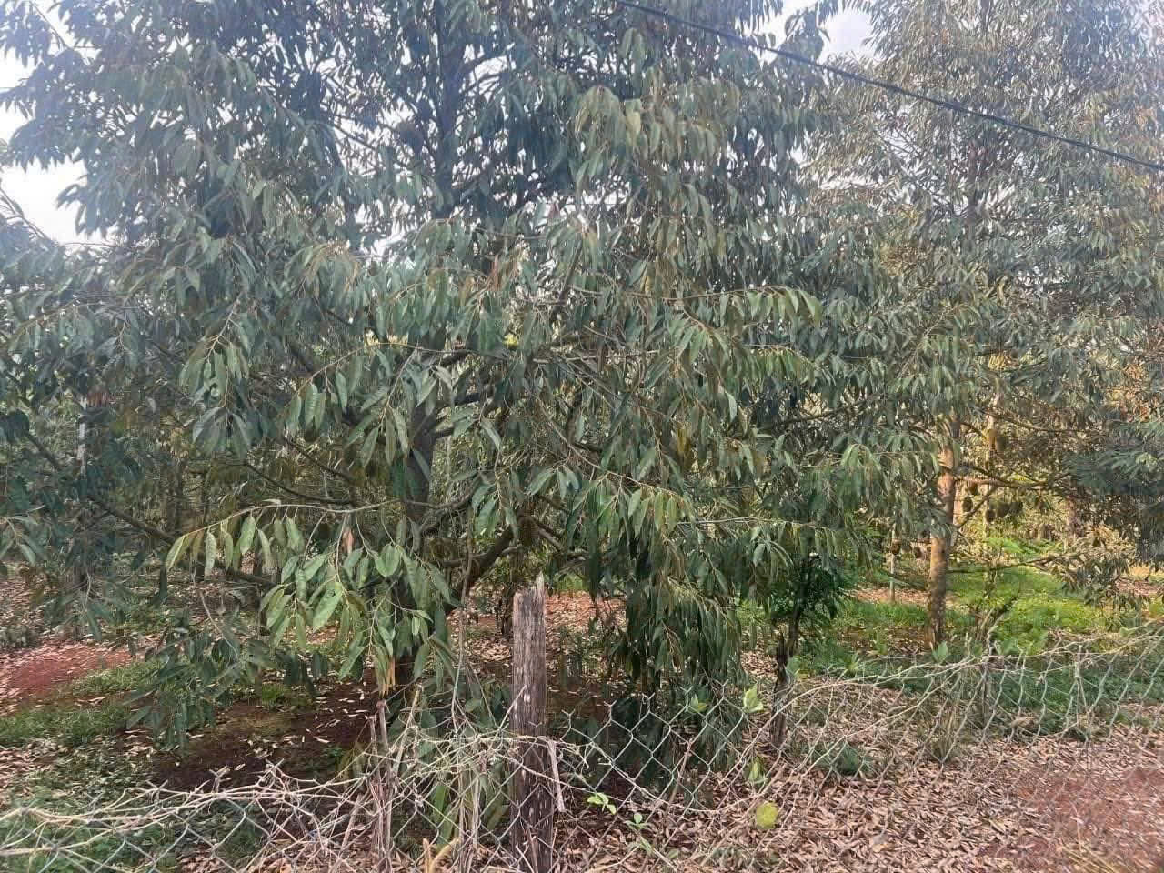 z7073382901210_ec201a9e277cb28ce7e924aeecf8217e