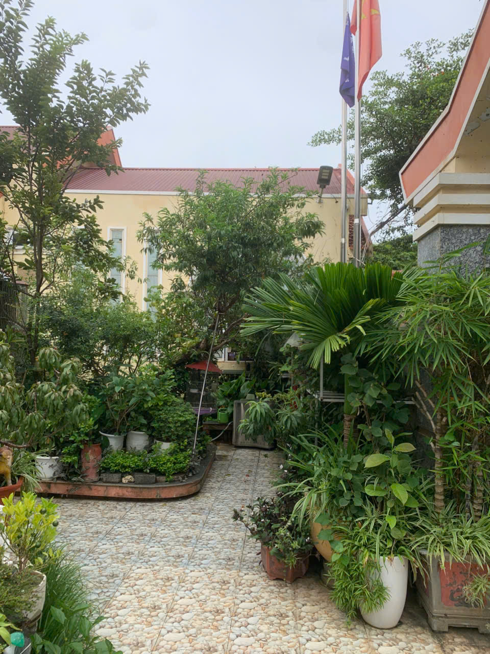 z7073507348680_1529dd71d810aa3d1c117ca75904eaef