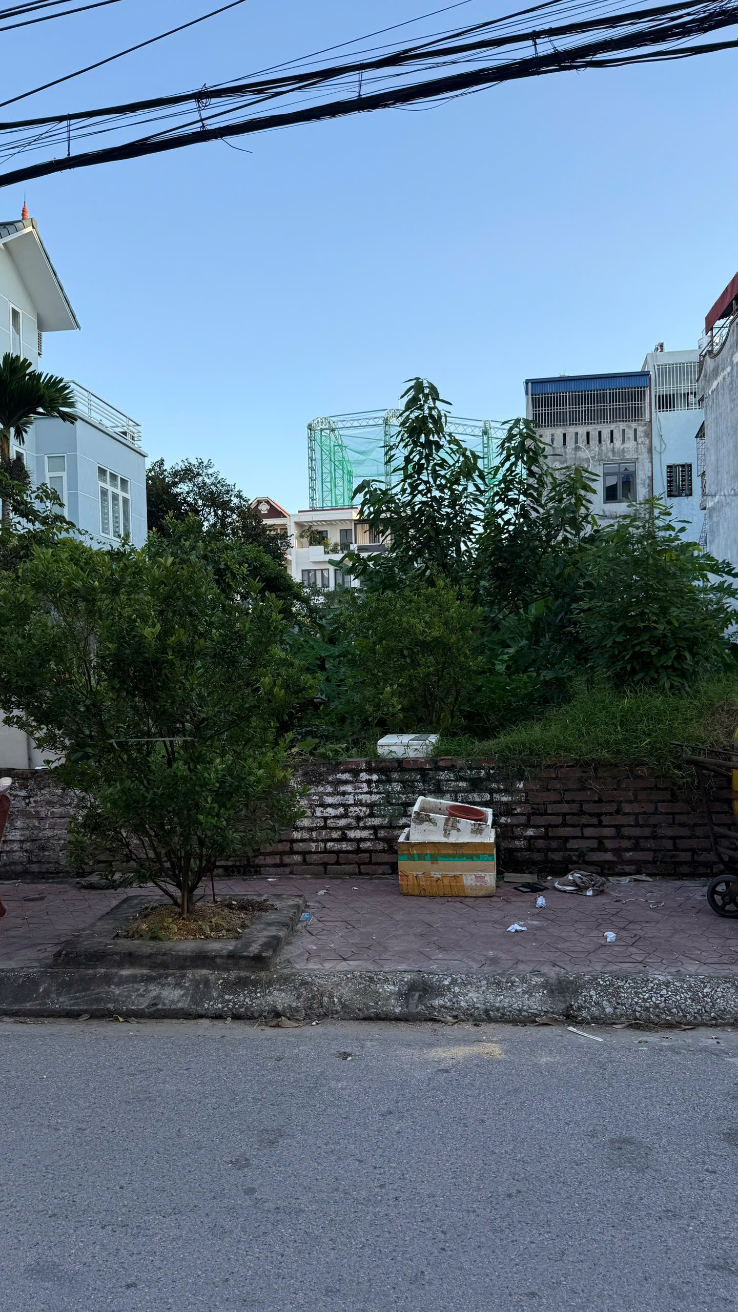 z7073997850471_0e5873dda741a78028e0ac75de60071e