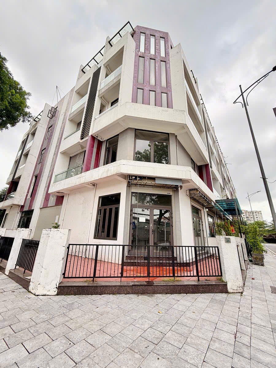 z7075462381127_67fc8402a387bb62586fc42ee083a19a