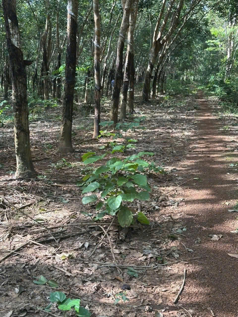 z7075826628501_ce6eb40fdbd24f571fc3cd9ee4a2f94b