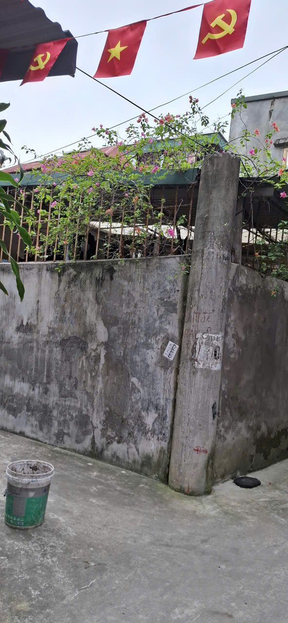 z7076224246691_e62e21644965f8de97bfca4f545d8d96