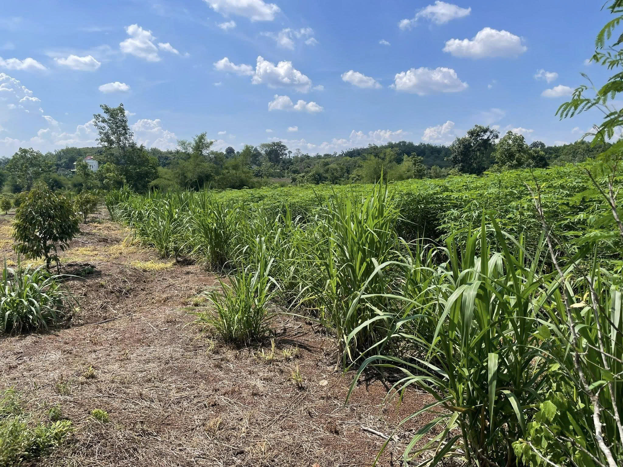 z7079423102860_fd2181d105f989e0cc02a8cfe444fa31