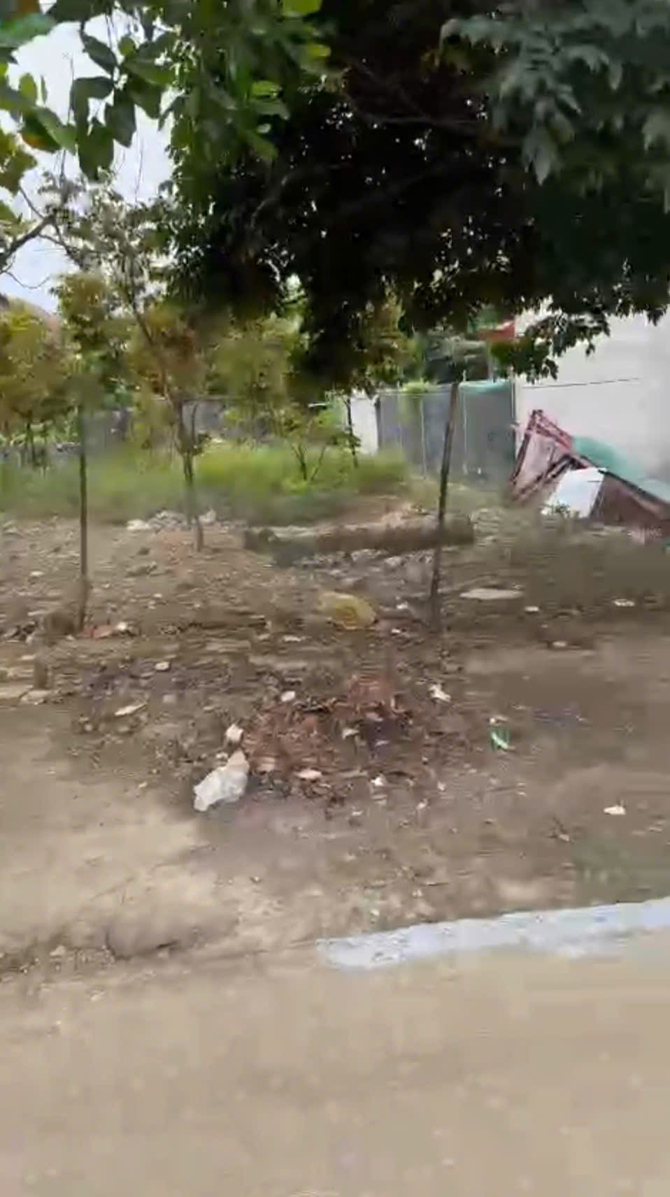 z7080957941219_c6811351e610c57bf6ab6cac616ce0f9