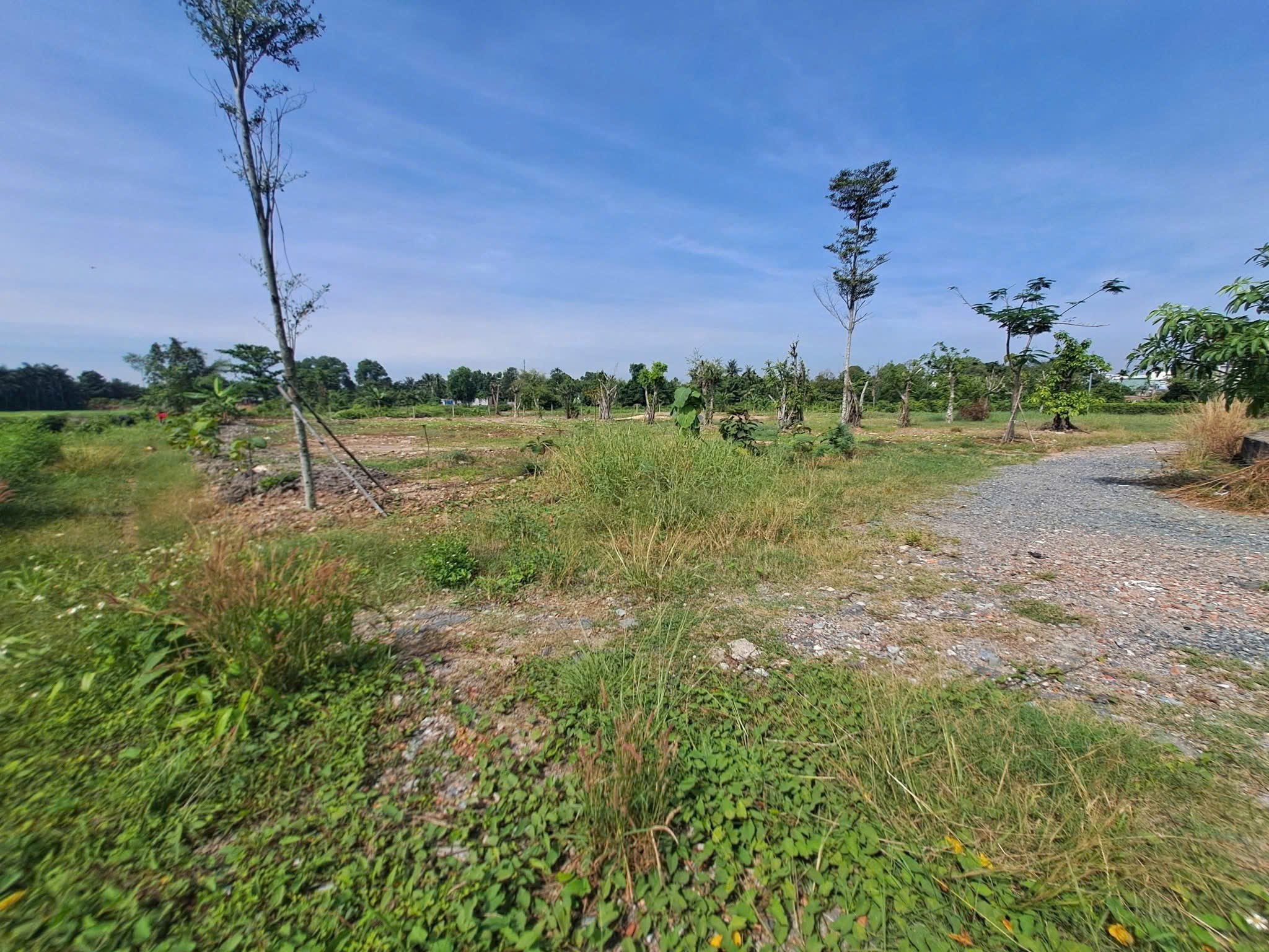 z7082151023887_a6775f322b491cb2051f63eea483d079