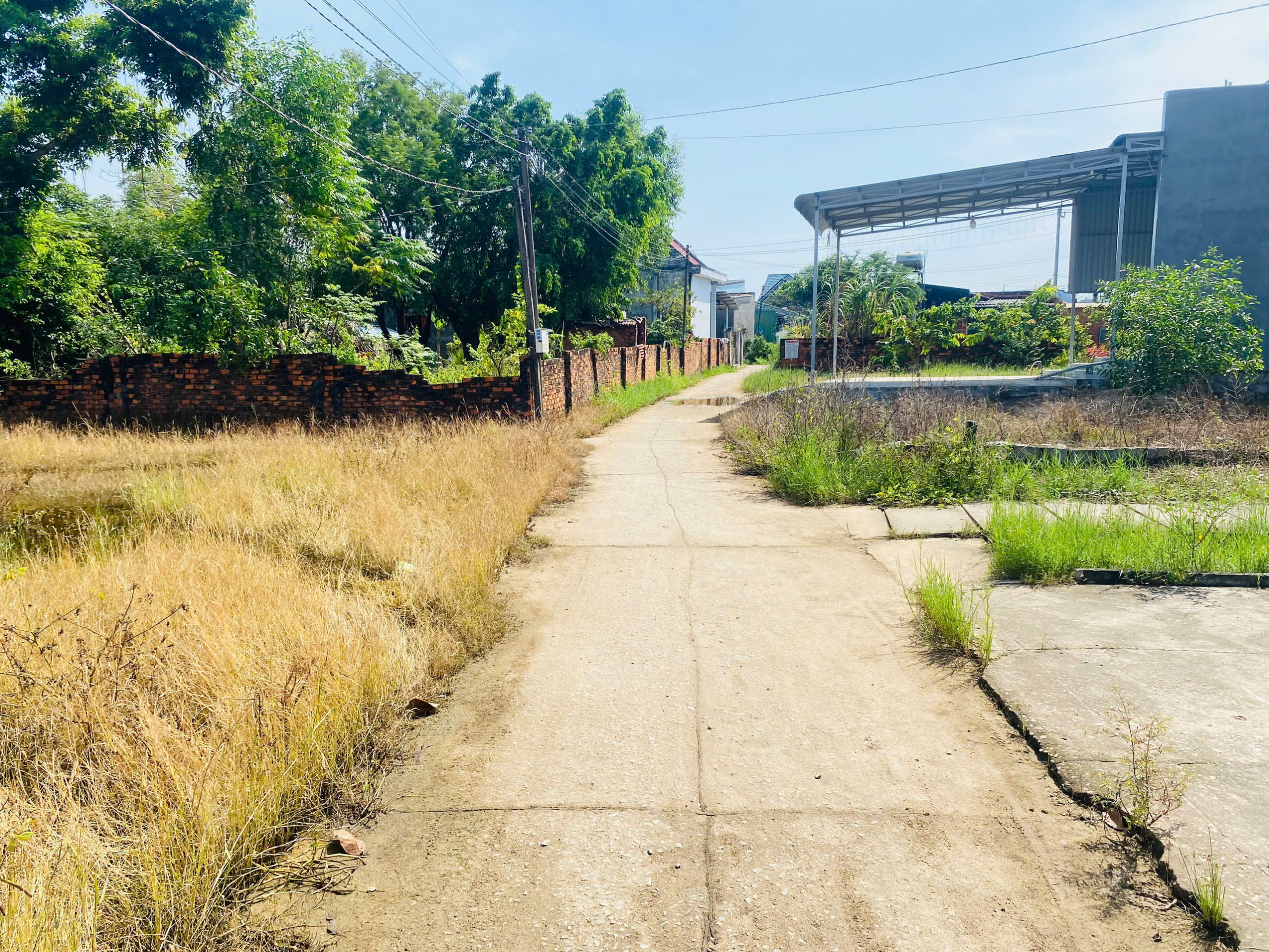 z7086184316904_f43edac6e6c8ccb12d70d0477628a150