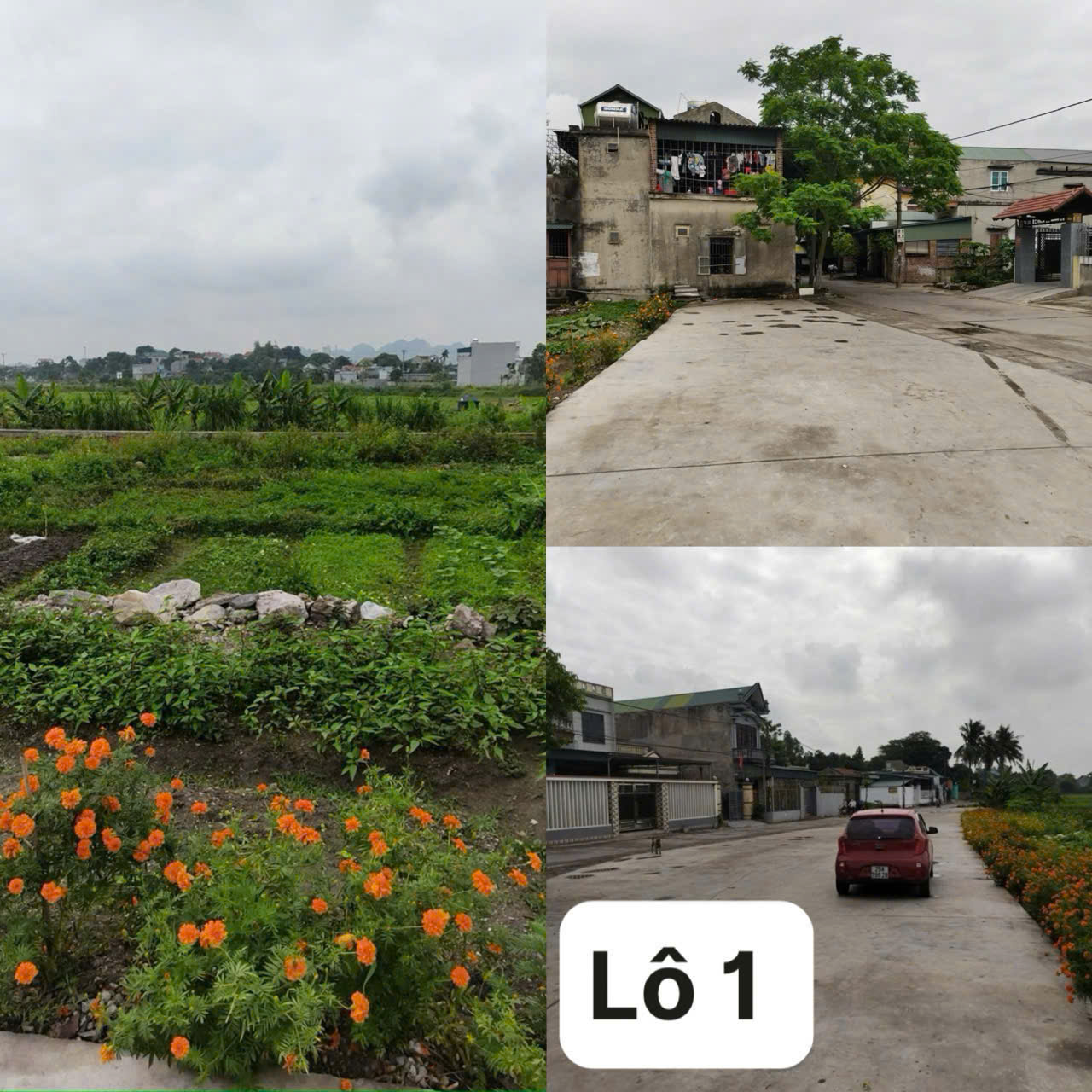 z7089984985379_5c0054d544b92ef13582e949eb625256