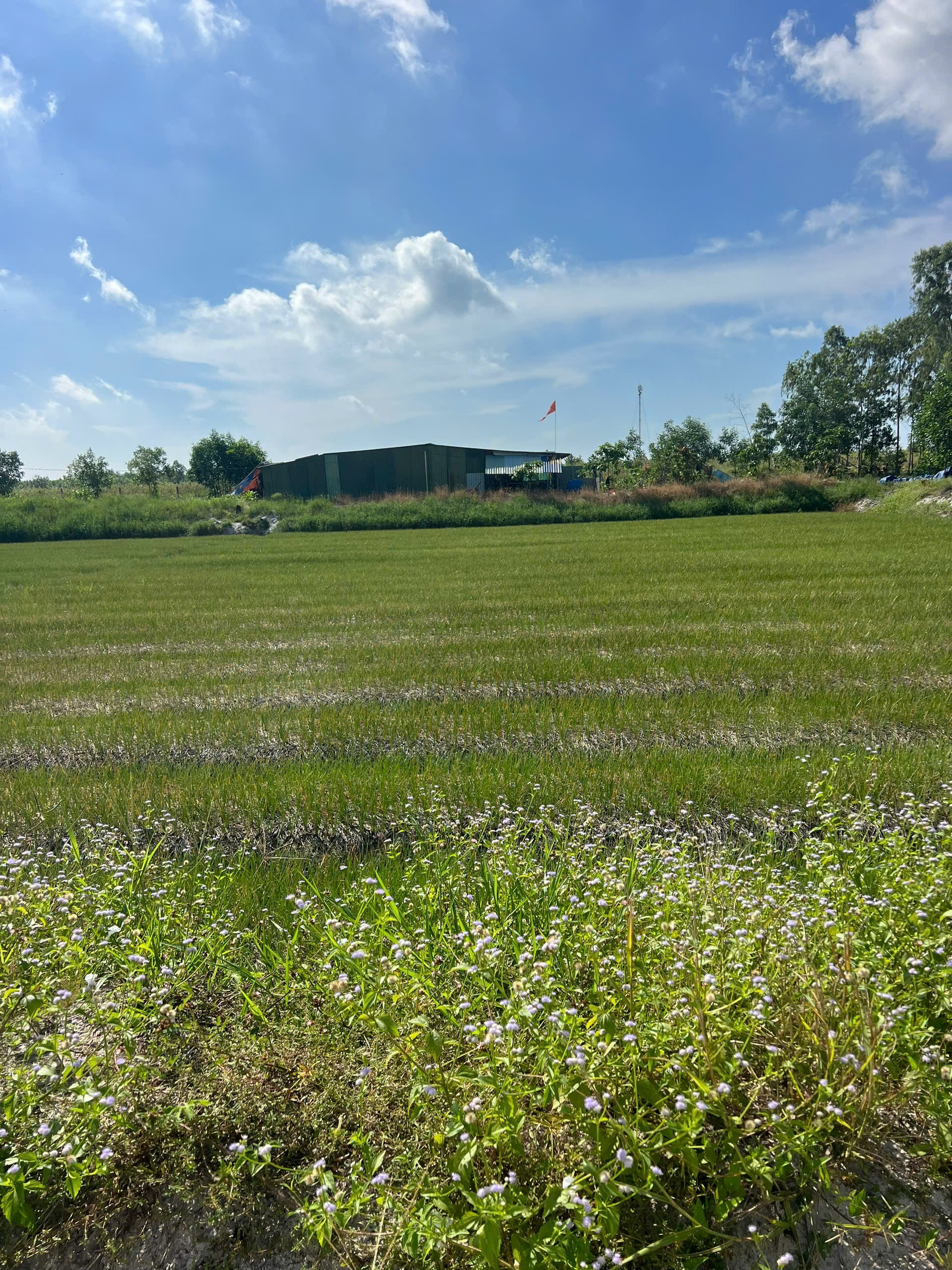 z7089992944886_252138a28e13522a9ff5ed694e7b6386