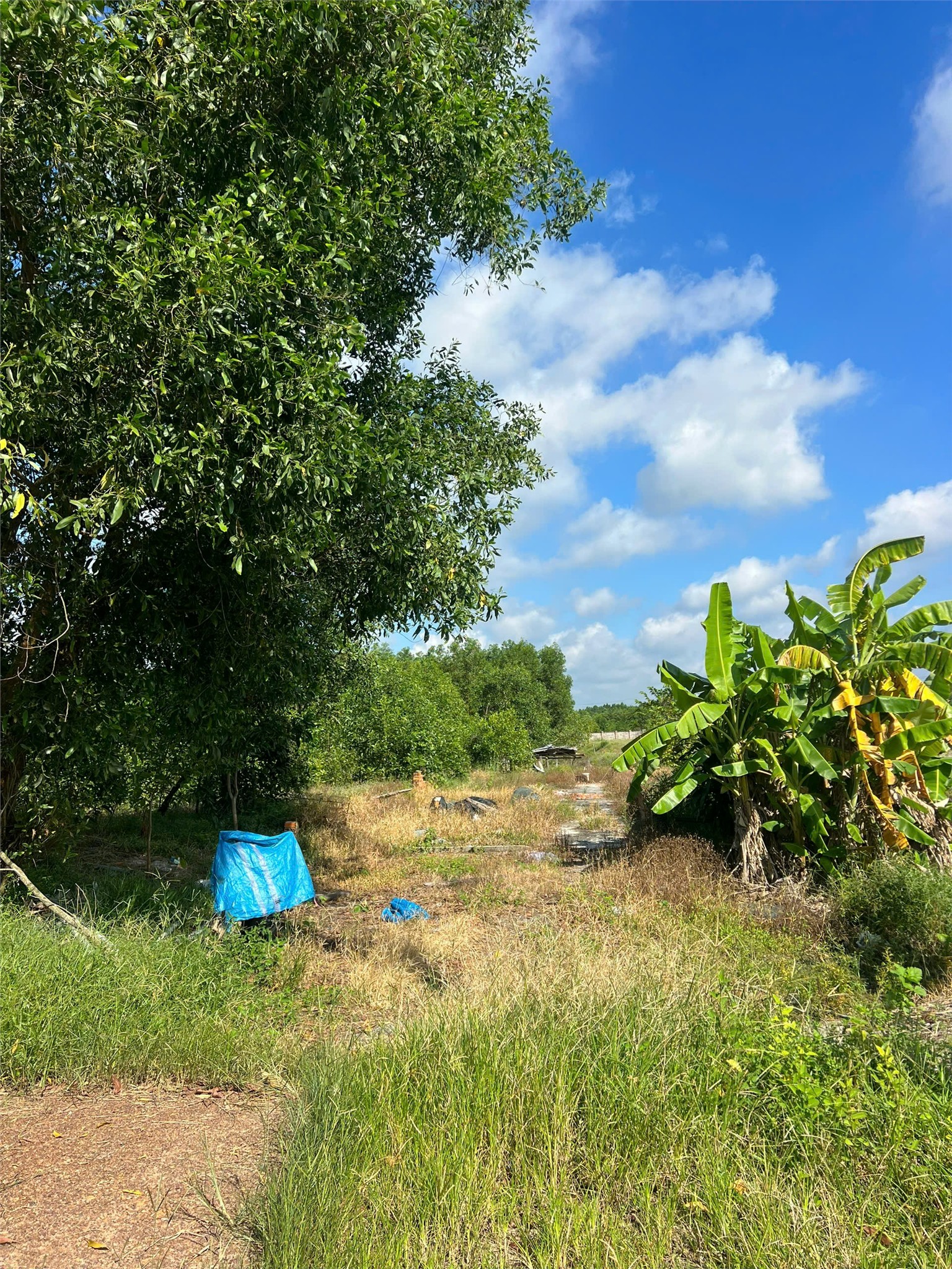 z7089998899184_b423b828e579d1cedfe8d3491438a343