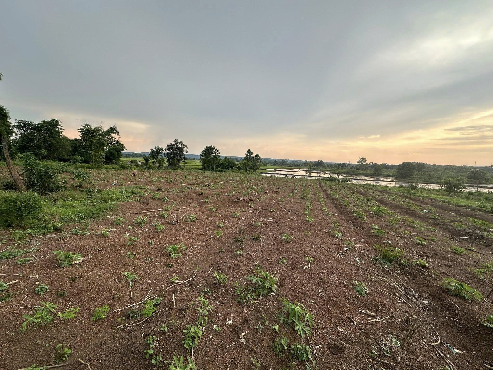 z7090036978836_43c3f12a90d1aedac25c0787e943e77f