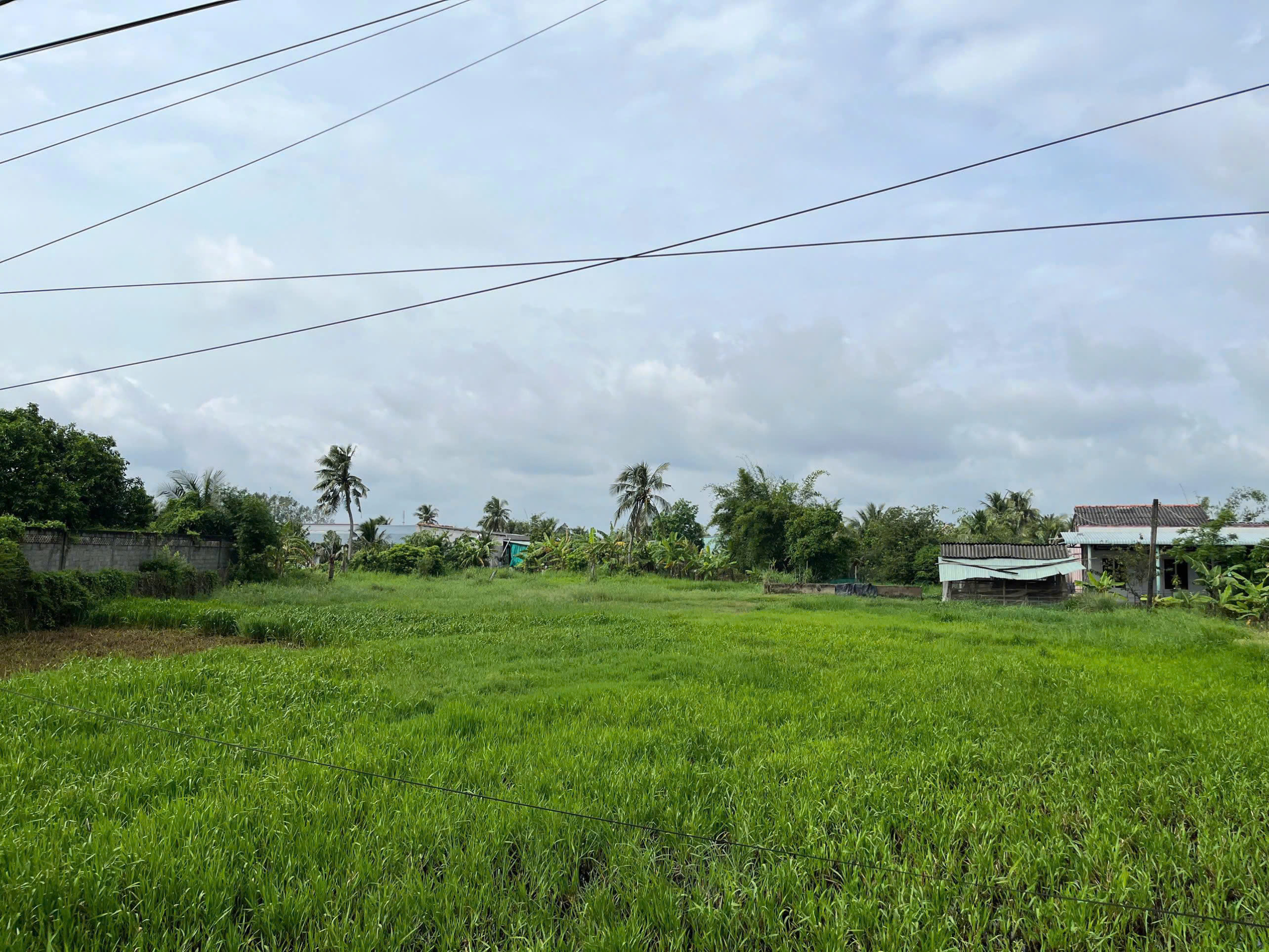 z7091173770991_6b0f8cd7412c906a66a730bf771d0548