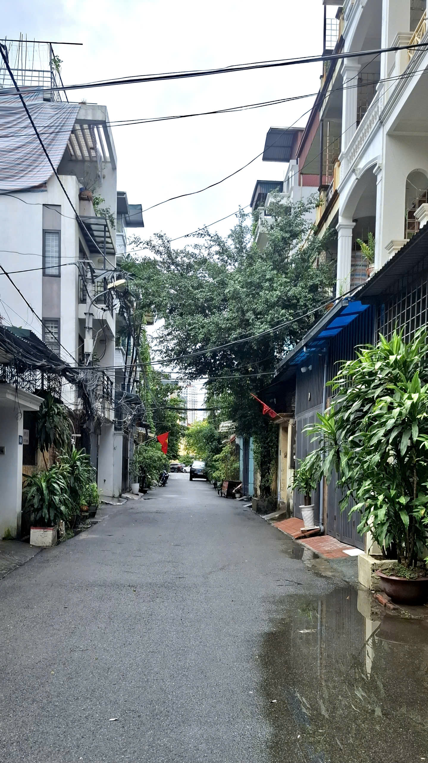 z7091916865460_f694af2e5bfb846621ca72cedfdb7042