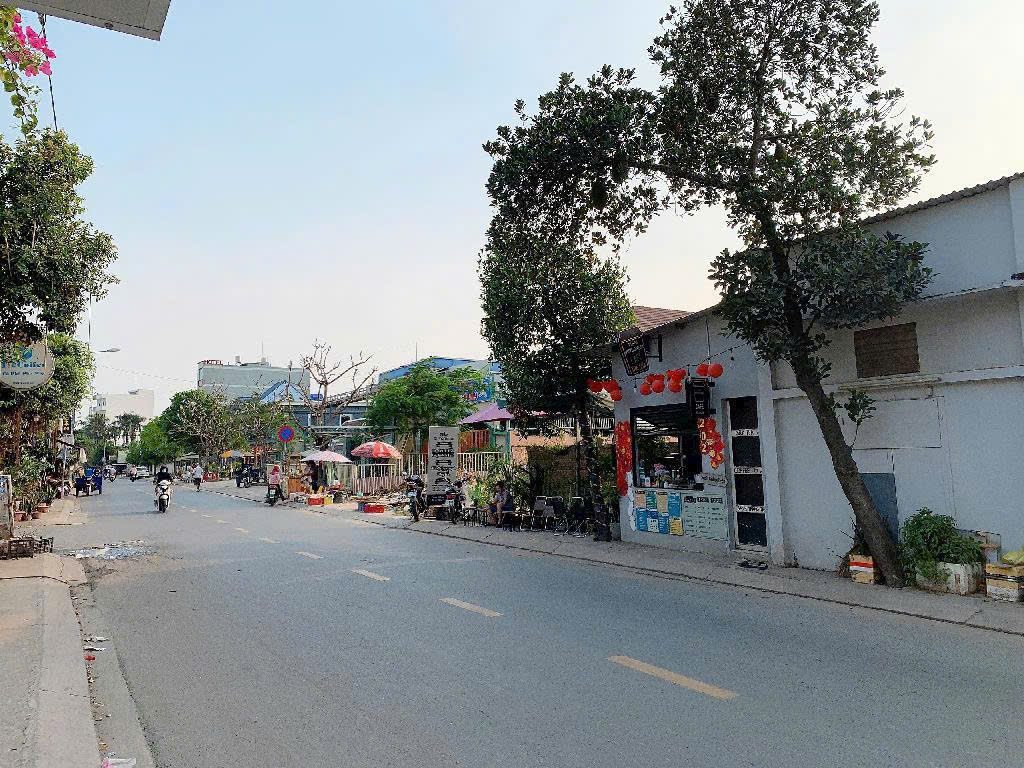 z7092423905172_1819d6cdfec5d48cb78c961da5e575b0