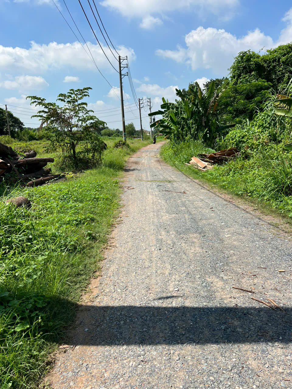 z7093326101437_7222e00e50ebf493a56912757ff022fa