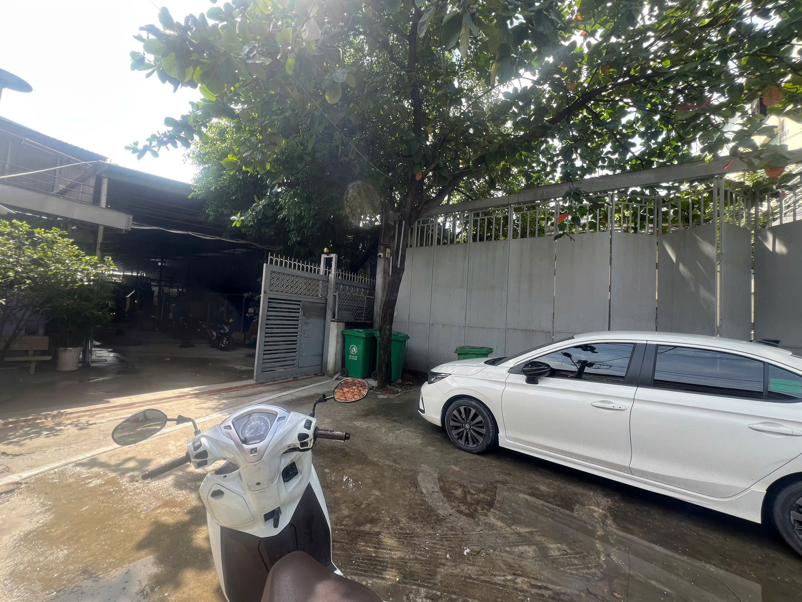 z7093360002848_be736ce8cae072181a1cae841a4f3fcf