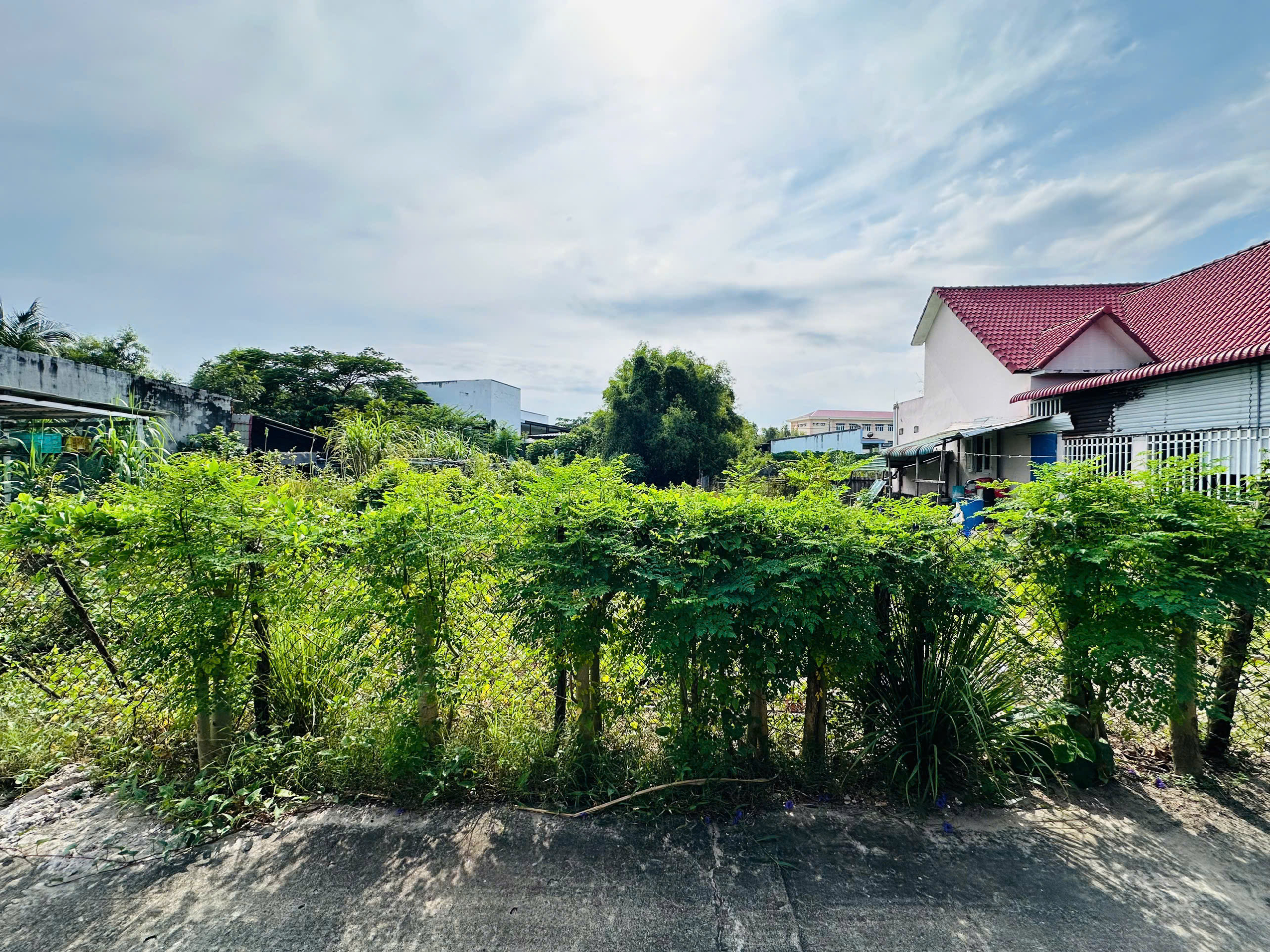 z7096689710386_2fdf2c1330a61b2e1367290ebfeda6a6