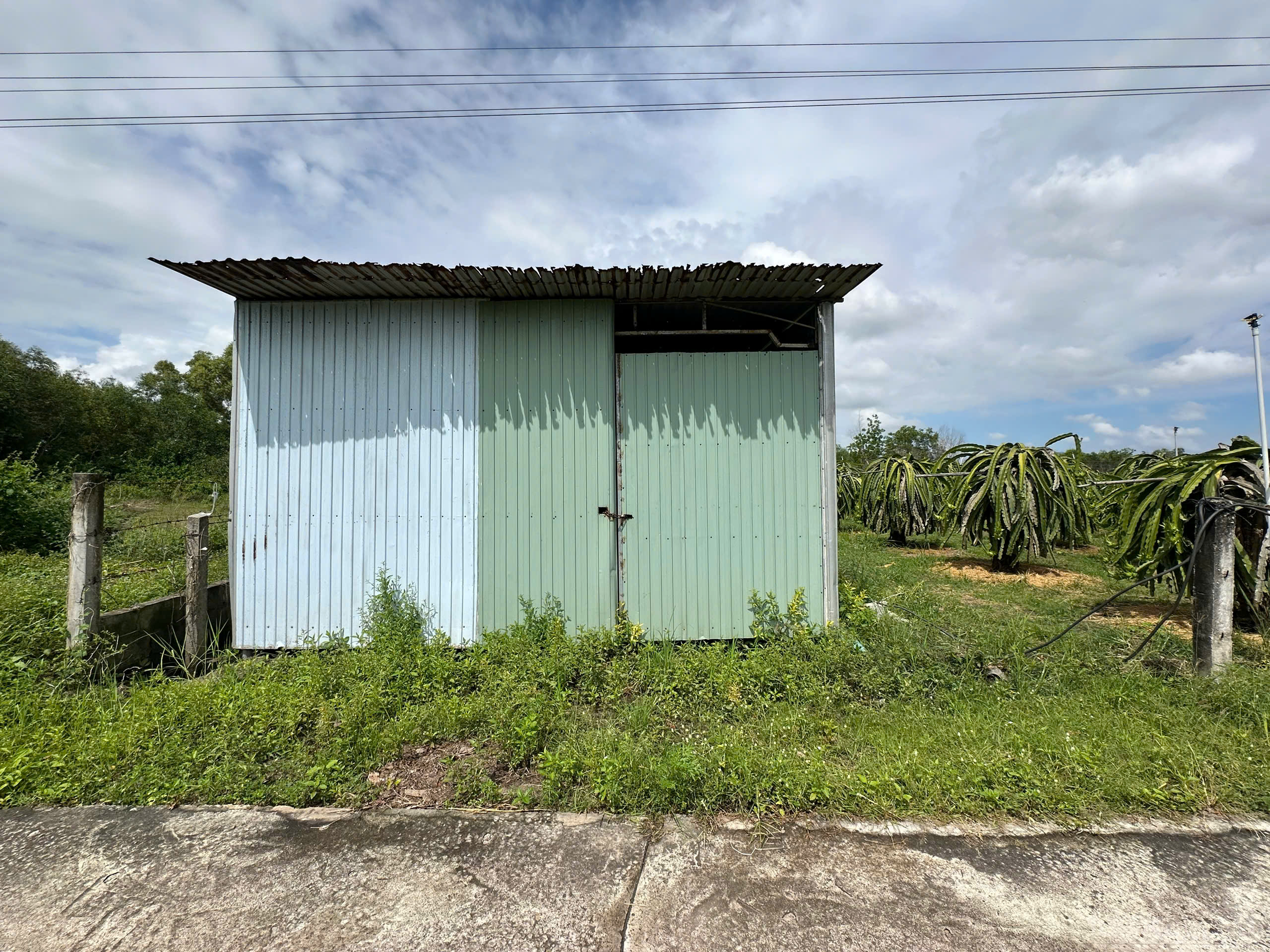 z7100928732350_215ff110d0bedaefd7b8749ce3da6dd5