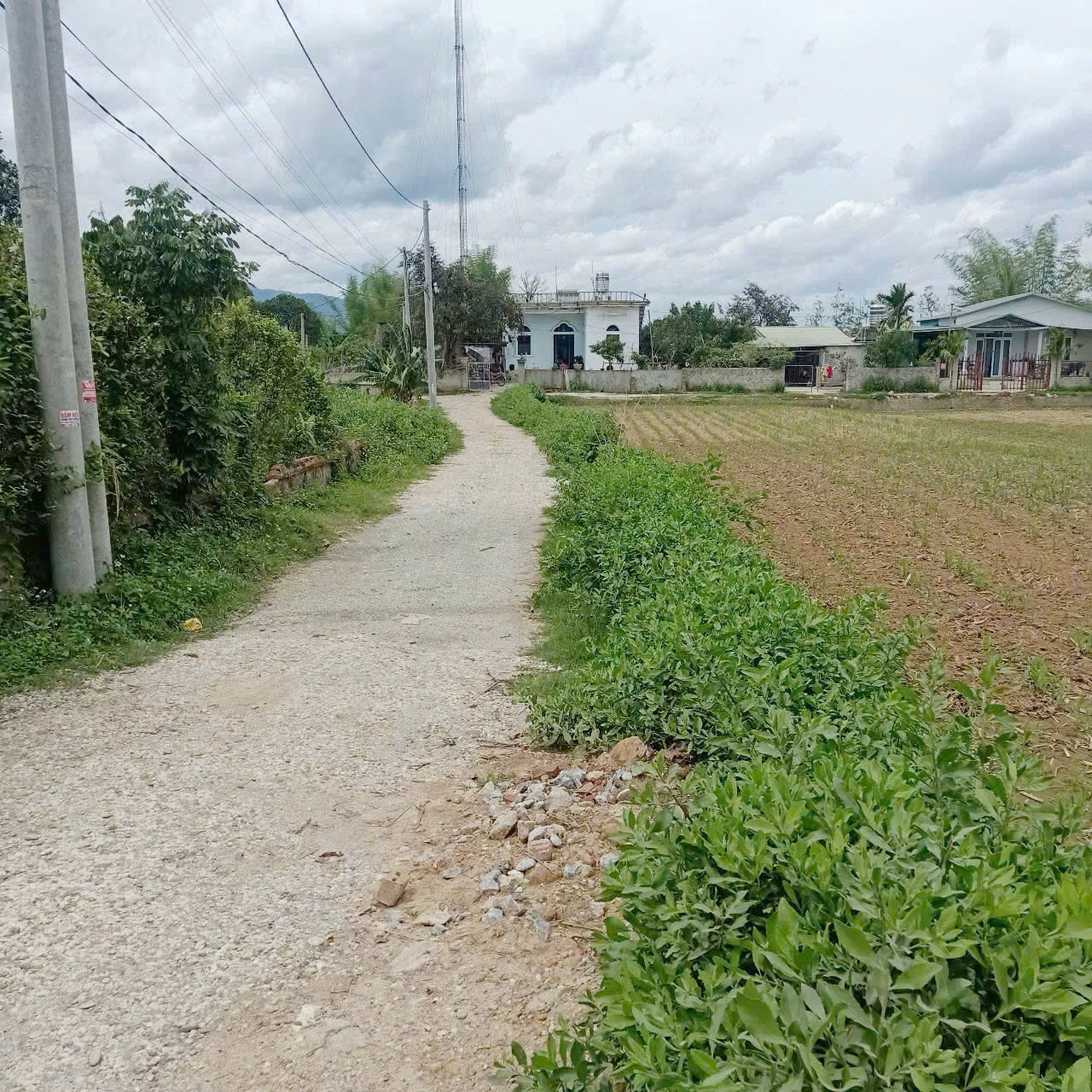 z7101076422329_0a19e7aef46b43f10d60ba244e3b0087